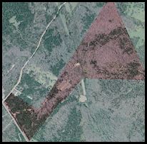 Satellite Photo