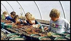 Activities for Kids