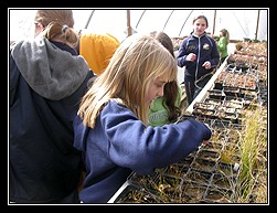 greenhouse