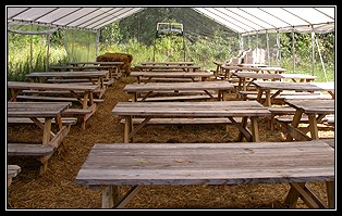 Rustic Tables