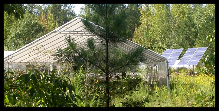 Green Event tent