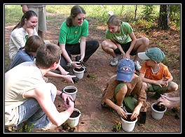 EcoCamp